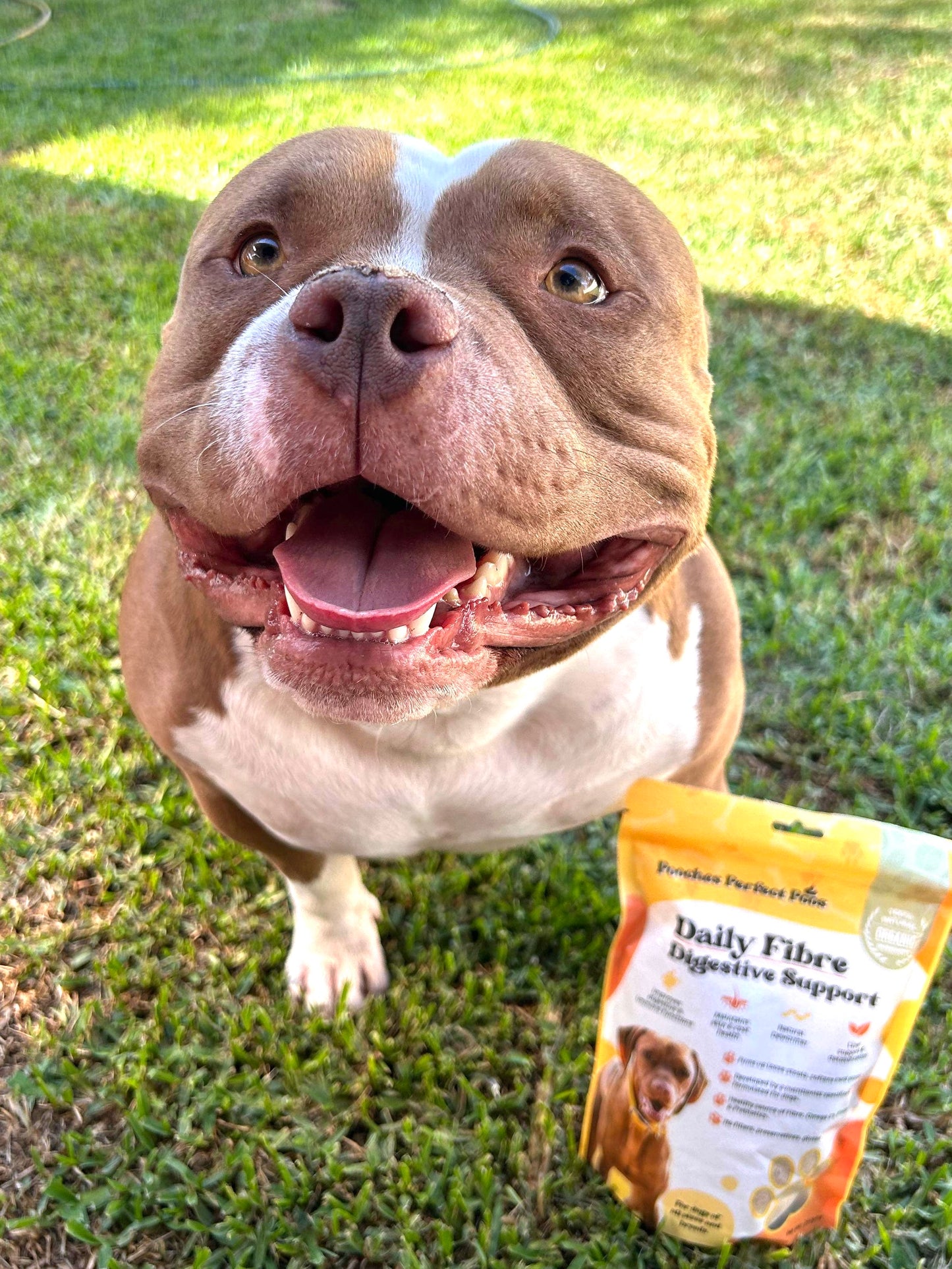 Daily Fibre Digestive Support - 1 Bag